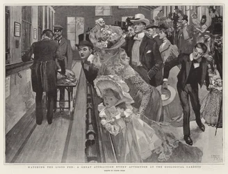 De leeuwen voeren, een grote attractie elke middag in de dierentuin